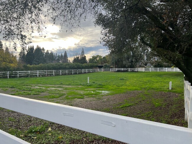 Foto del edificio - 3 Bed 2 Bath 3 Car Garage in Granite Bay with an Optional Fenced Pasture