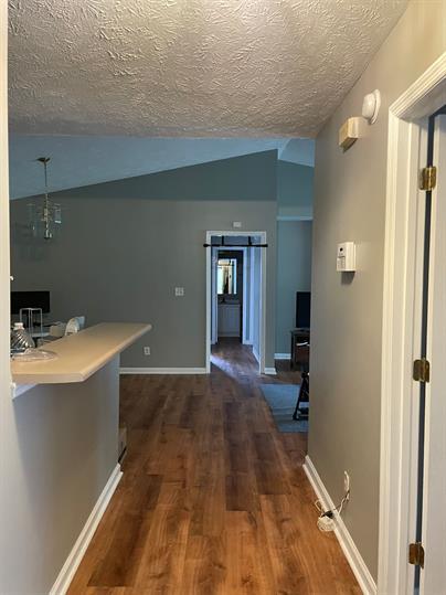 Foto del edificio - 513 Meadowland Ct