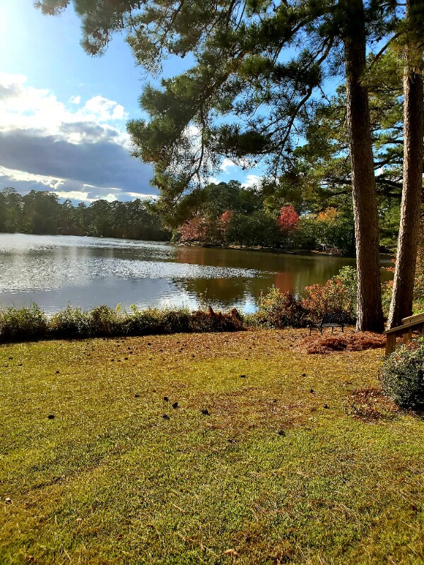 Foto del edificio - 15 Arcadia Cove