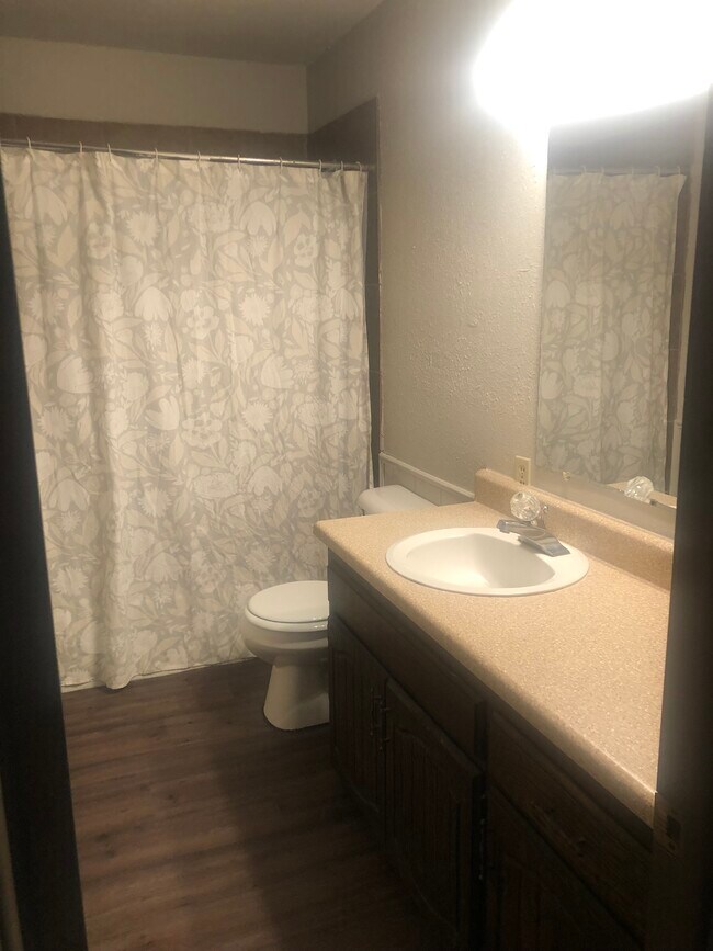 bathroom - 217 Brian Rd