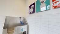 This single-floor dog wash facility is thoughtfully designed to provide a clean, functional, and welcoming environment for pet grooming. The space centers around a professional-grade stainless steel dog wash tub equipped with a coiled blue hose and spray attachment, along with a non-slip entry ramp for easy pet access. The walls are clad in crisp white subway tile from floor to mid-wall height, creating a hygienic and easy-to-clean surface, while polished concrete flooring adds durability underfoot. A ventilation grille integrated into the tiled wall ensures proper airflow throughout the space. Natural light filters in through a large black-framed window, offering views of the surrounding neighborhood and keeping the room feeling open and bright. Adding a lively, playful character to the space, a series of vibrant pop-art style prints featuring dogs in purple, teal, and orange hues are mounted along the upper walls. A wall-mounted informational sign near the entrance outlines the rules and operating hours for the dog wash area. A small bench provides a convenient spot for pet owners to sit or store belongings. The overall ambiance is clean, modern, and purpose-built — making it a practical and enjoyable amenity for pet owners.