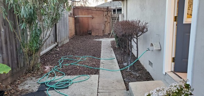 backyard - 4330 Borina Dr