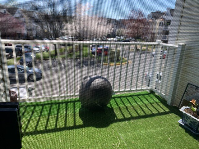 Building Photo - 8941 Town Center Cir