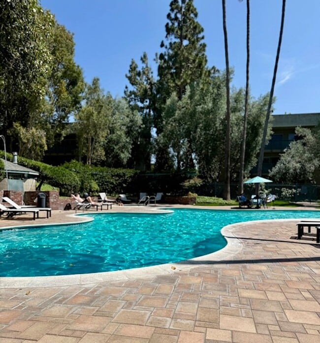 Building Photo - Top floor, 1 Bedroom, 1 Bath Condo in Ston...
