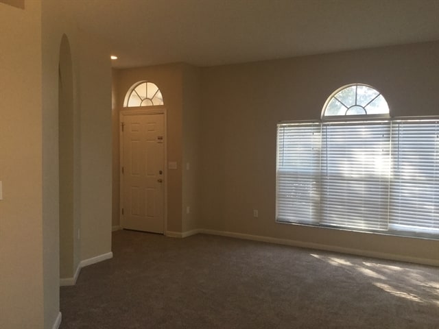 Building Photo - 3709 Cinnamon Fern Loop