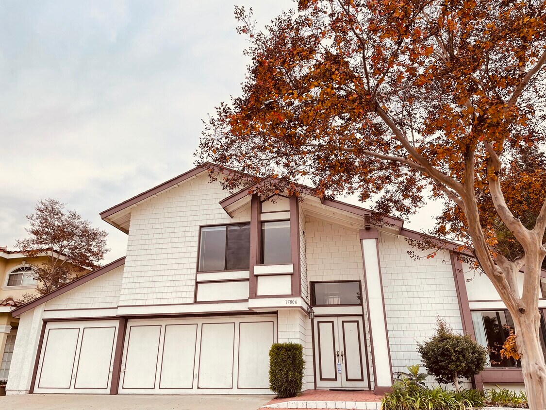 Primary Photo - 17006 New Pine Dr