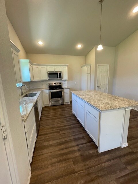 Building Photo - 1010 Chesnut Ln