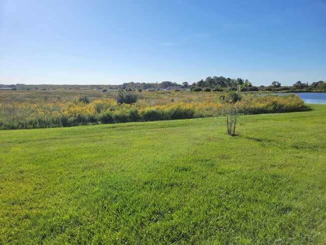 Back view - 2779 Grandbury Grove Rd