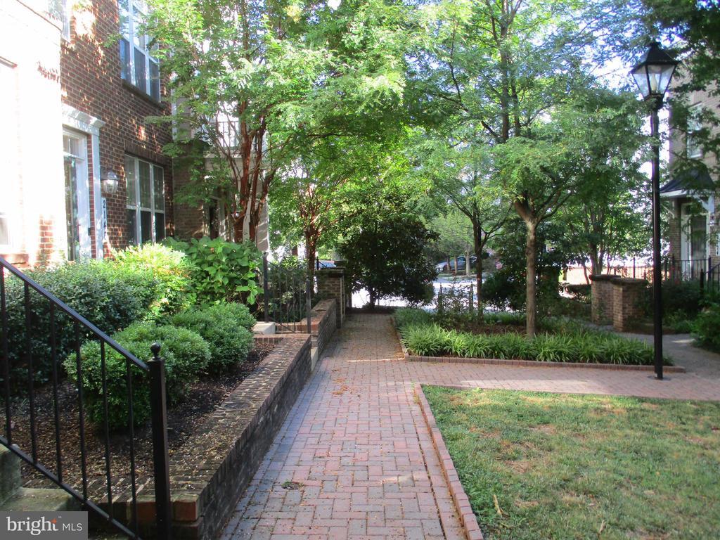 Foto principal - 2144 Little Sorrel Way