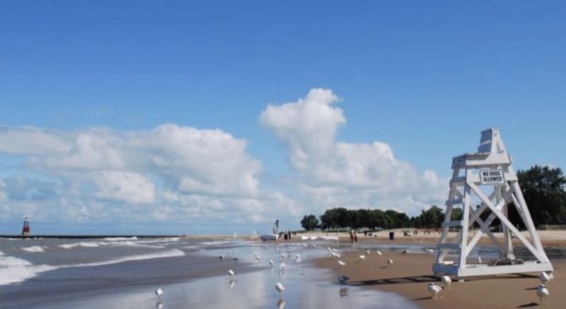 Primary Photo - 5746 N Sheridan Rd