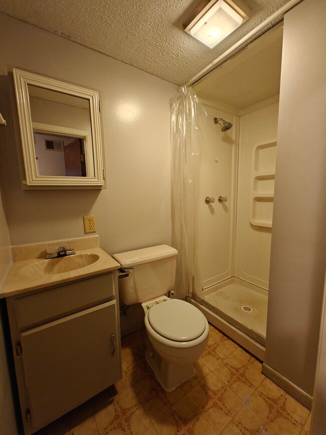 Bathroom - 919 N Elm Ave