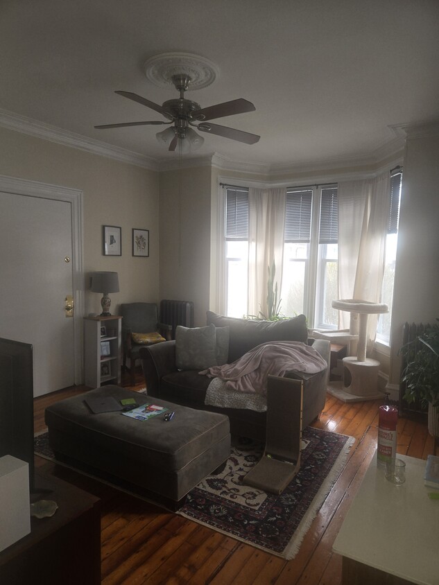 Primary Photo - 133 Doyle Ave