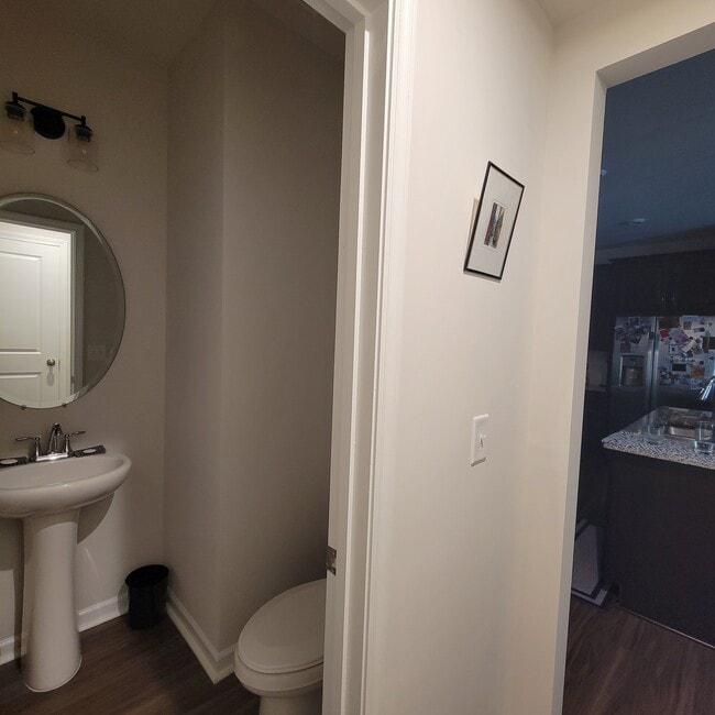 Downstairs toilet - 310 Cloudcroft Aly