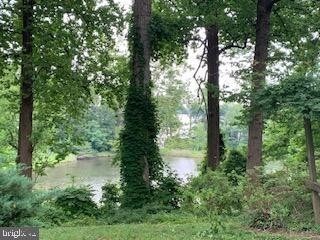 Building Photo - 321 E Forest Trl, Crownsville, MD 21032