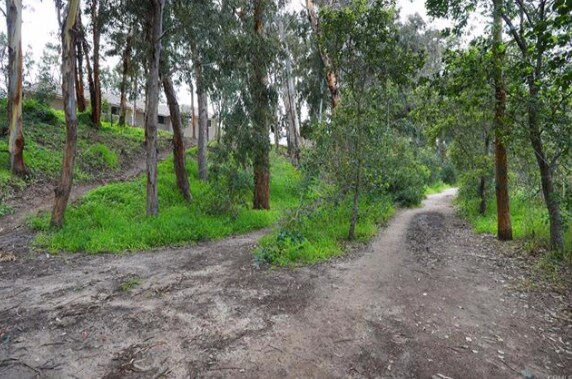 Senderos y arroyos - 24498 Copper Cliff Ct