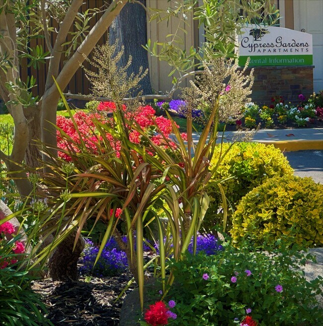 Apartamentos Cypress Gardens - CYPRESS GARDENS APARTMENTS