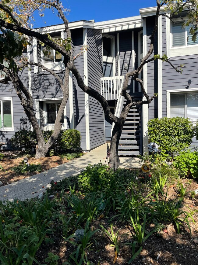 25699 Pine Creek Ln Unit 25699, Wilmington, CA 90744 Condo for Rent