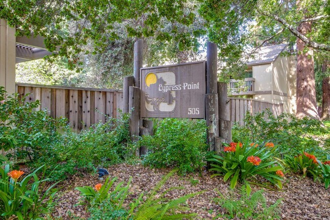 Building Photo - Beautiful 2BR 2BA downstairs condo in Moun...