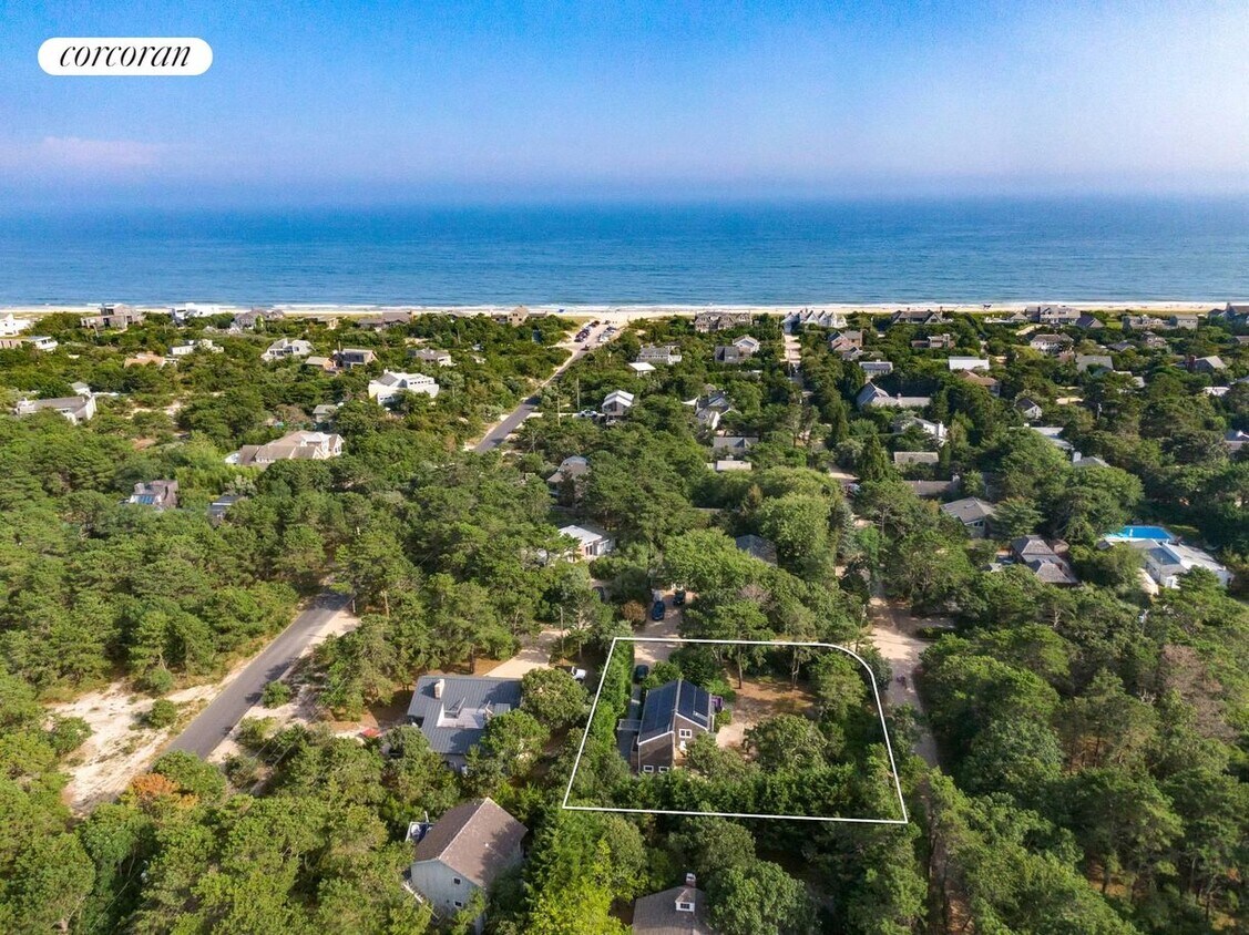 Primary Photo - 31 Hampton Ln
