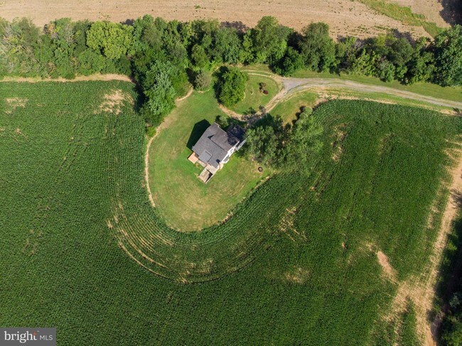 Foto del edificio - 3825b Petersville Rd