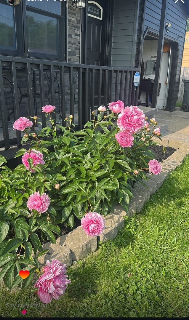 Foto del edificio - Boardman, 3 Bedroom Ranch Home for Rent! Apply Now!