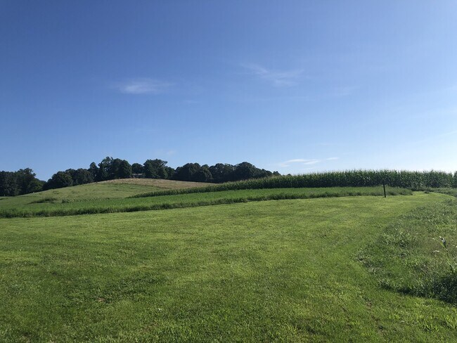Foto del edificio - Super cute farm house with beautiful mountain view! 2 bedrooms, 1 bathroom!