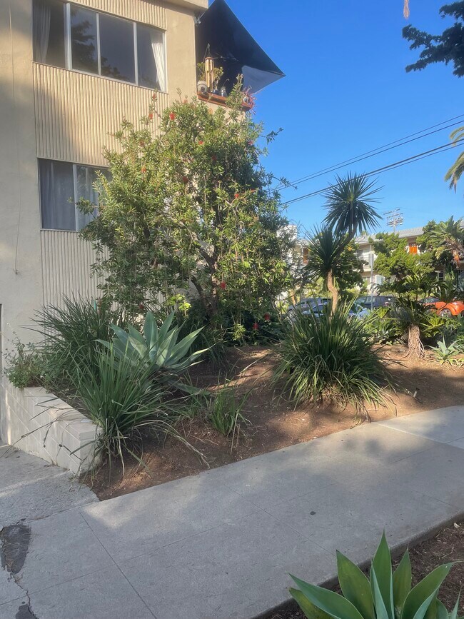 Foto del edificio - 1030 Idaho Ave