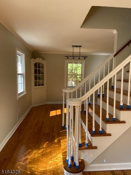 Foto del edificio - 38 Wynnewood Rd