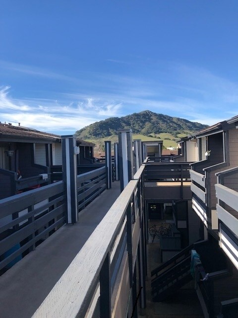 Vista desde la pasarela/balcón. - 45 Stenner Street