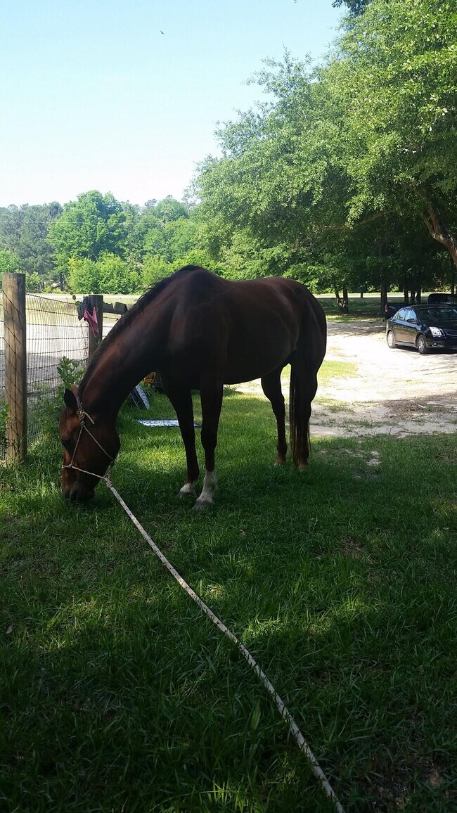 Foto del edificio - 331 Glenwood Dr