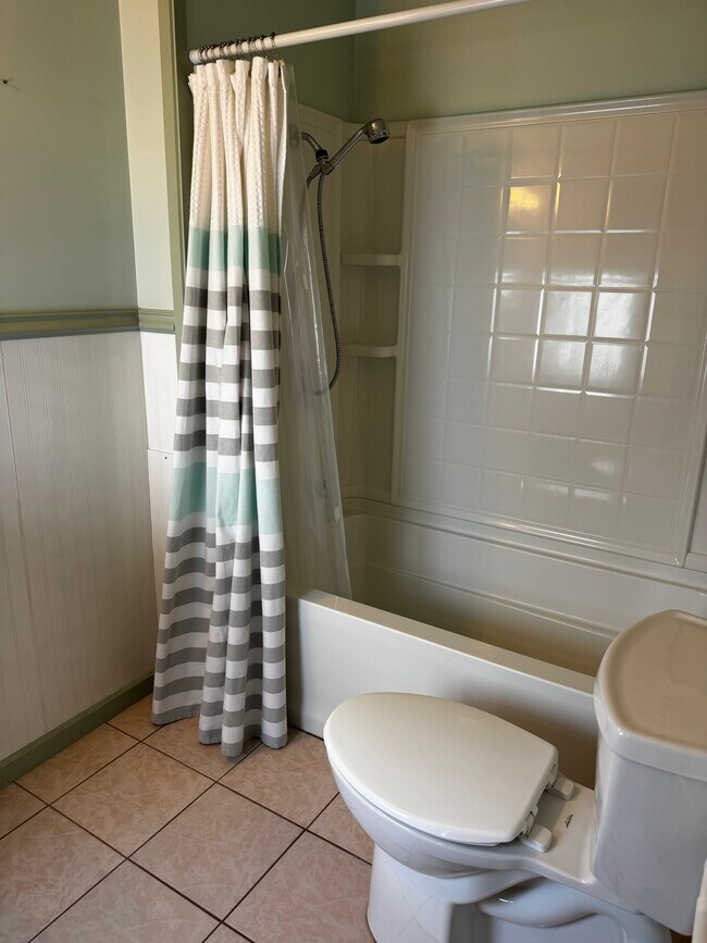 Downstairs full bathroom - 203 Albany Ave