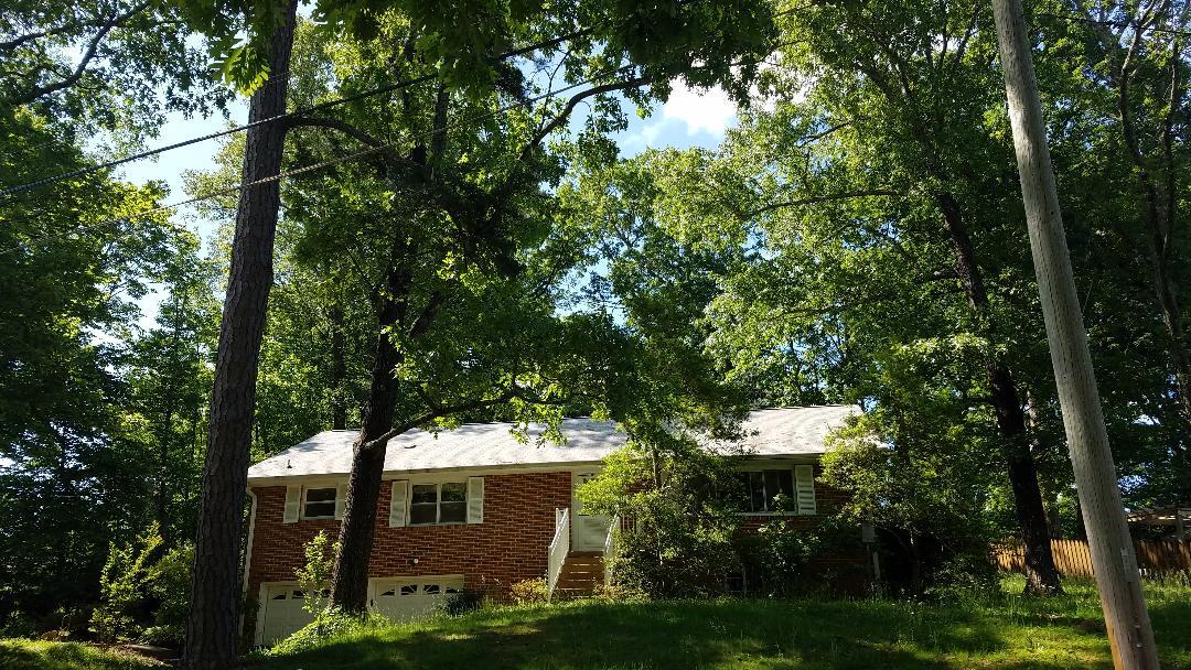 Front of Home w Foliage - 312 Signal Mountain Blvd