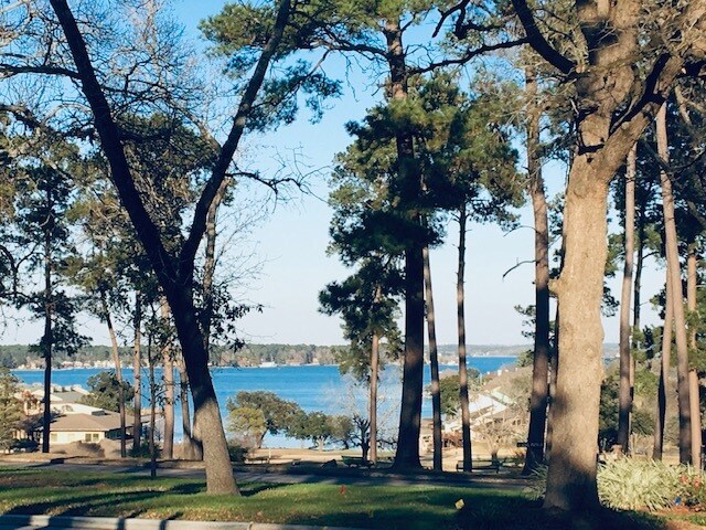 View From Smaller Deck - 57 April Vlg