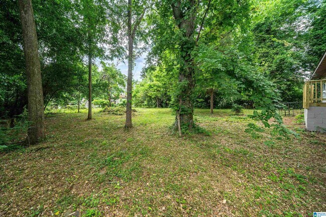 Foto del edificio - 216 Pine Tree Ln