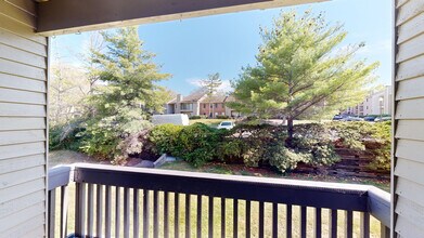 Interior Photo - Hickory Run