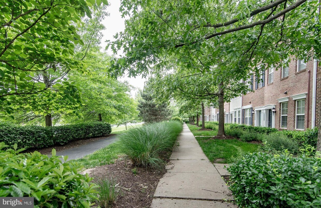 42459 Rockrose Square Unit 42459, Ashburn, VA 20148 Room for Rent in