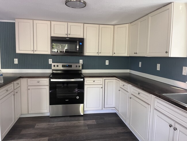 Downstairs Kitchen - 137 Holly Cresent Dr