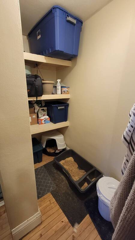 Foto del edificio - 1229 Commonwealth Ave