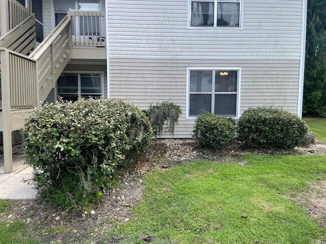 Building Photo - 1600 Big Tree Rd