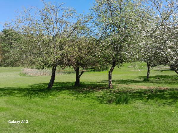 Building Photo - 1331 Old Rte One Building Photo - 1331 Old Rte One