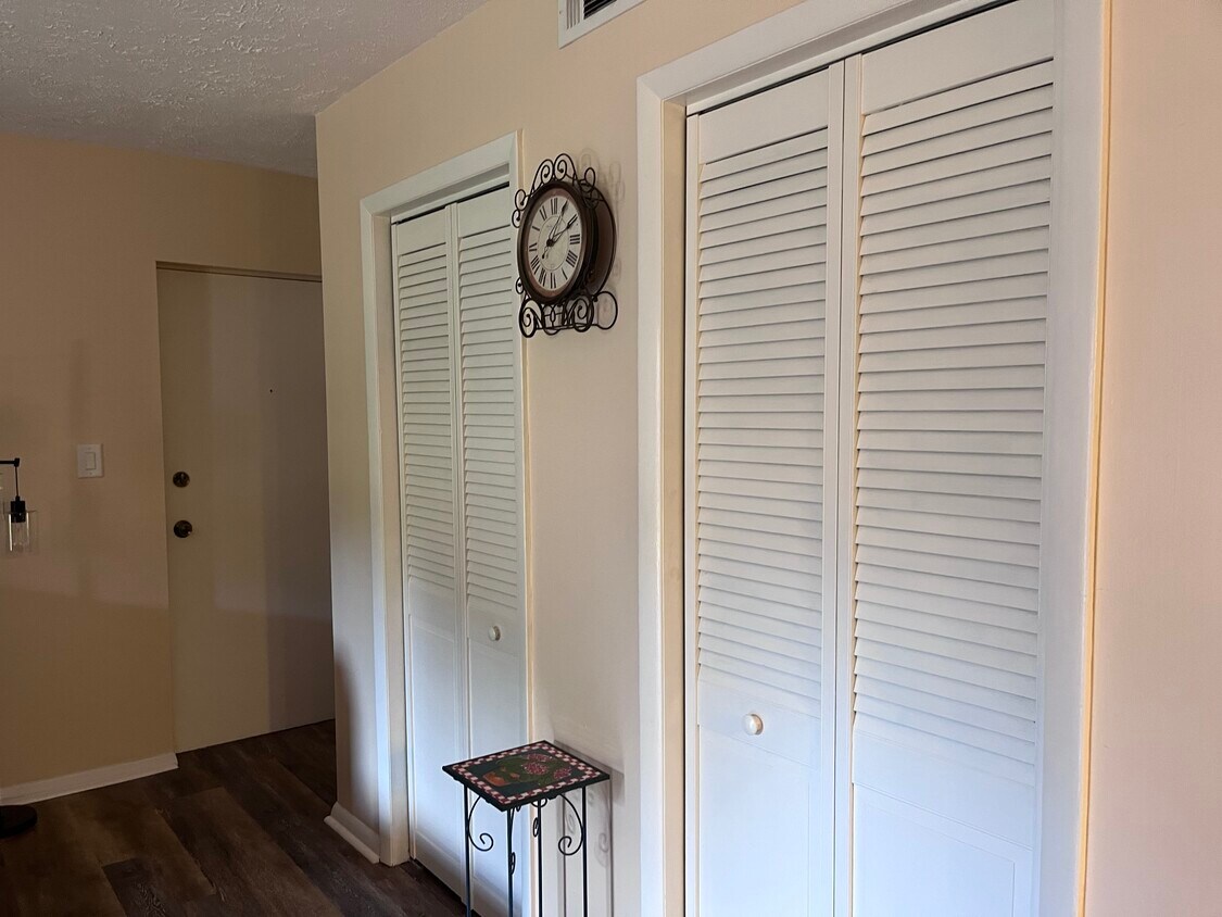 Puerta de entrada y armario en la sala de estar. - 4220 Crystal Ct