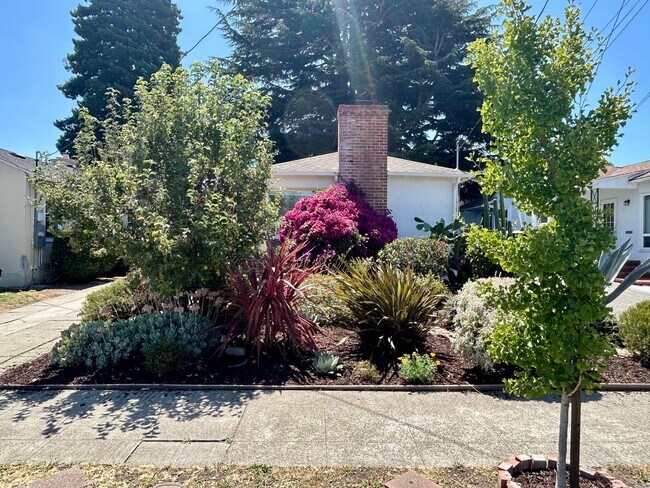 Foto del edificio - Gorgeous San Leandro Bungalow!