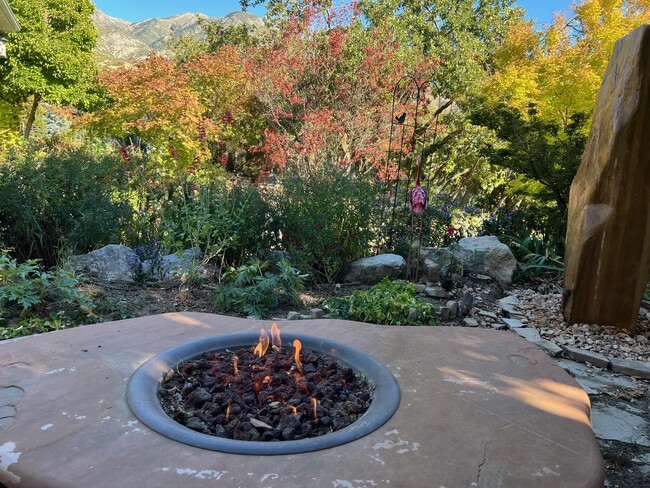 Outdoor Fireplace with Breathtaking View - 2656 Oak Hills Dr