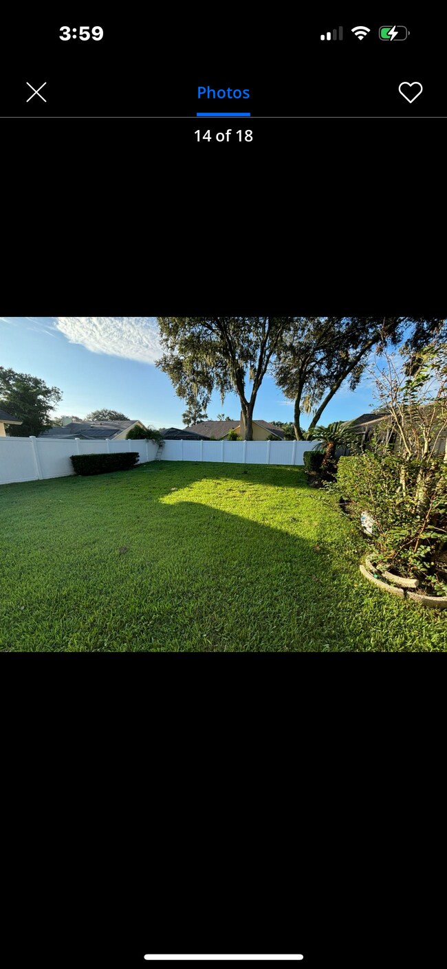 Backyard - 2415 Arborwood Dr