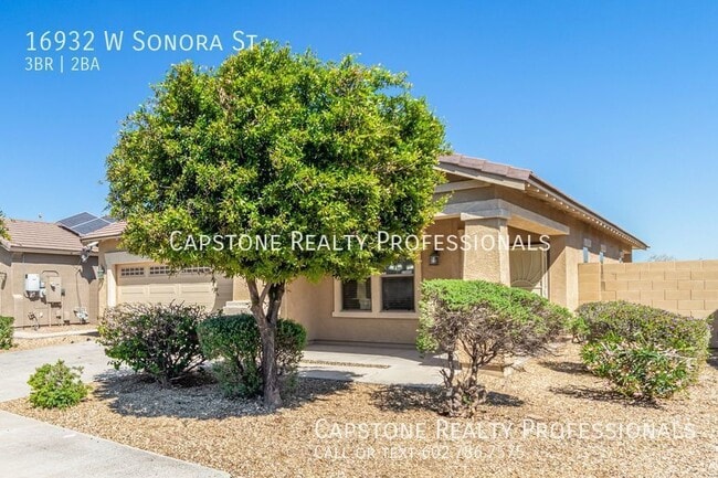 Building Photo - Canyon Trails stunner: Single-story 3-Bedr...
