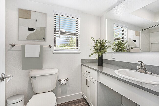 Building Photo - The Crossings Apartments