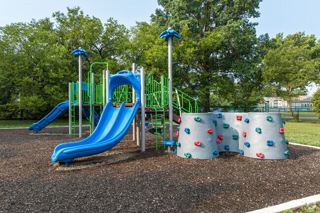 Kingsrowe Park near Glenbrook has an amazing playground for the local children.
