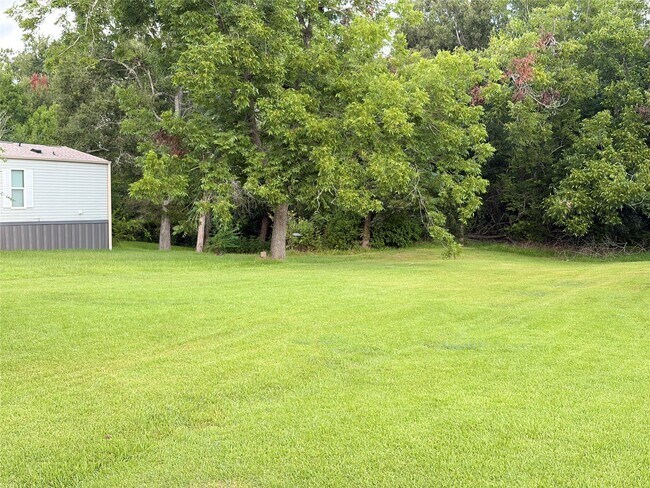 Building Photo - 215 Live Oak St