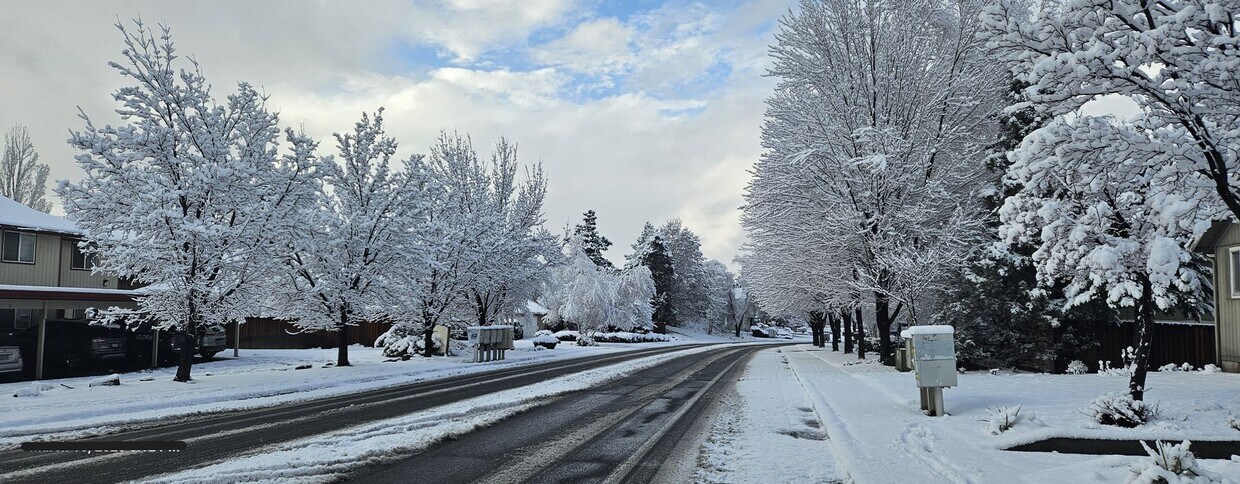 Building Photo - 2-bedroom 1-bathroom apartment for rent