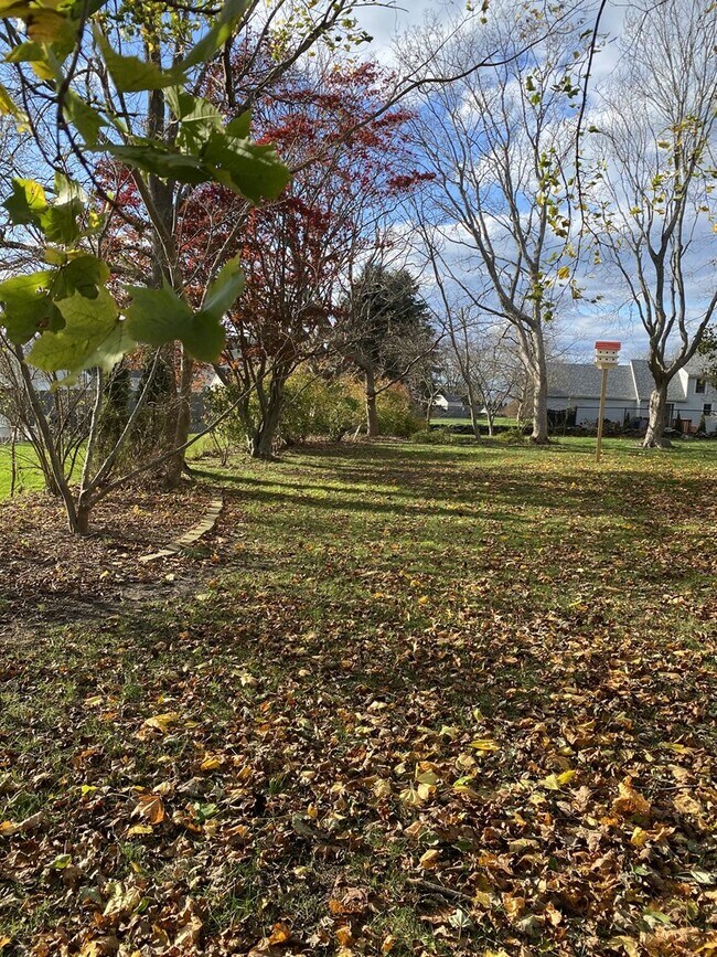 Large yard - 140 Green Ln